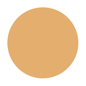 Liquid Color Corrector