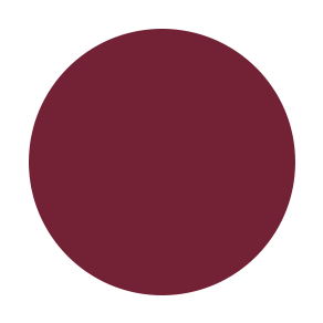 Liquid Lipstick